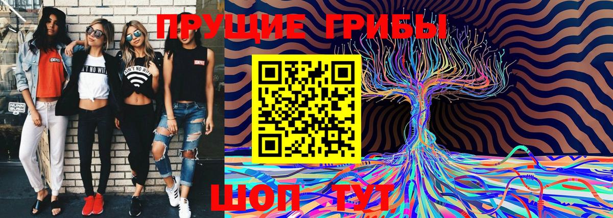 Нижний Новгород  Галлюциногенные грибы MAGIC MUSHROOMS  Вход с VPN  Псилоцибиновые грибы Psilocybine cubensis 